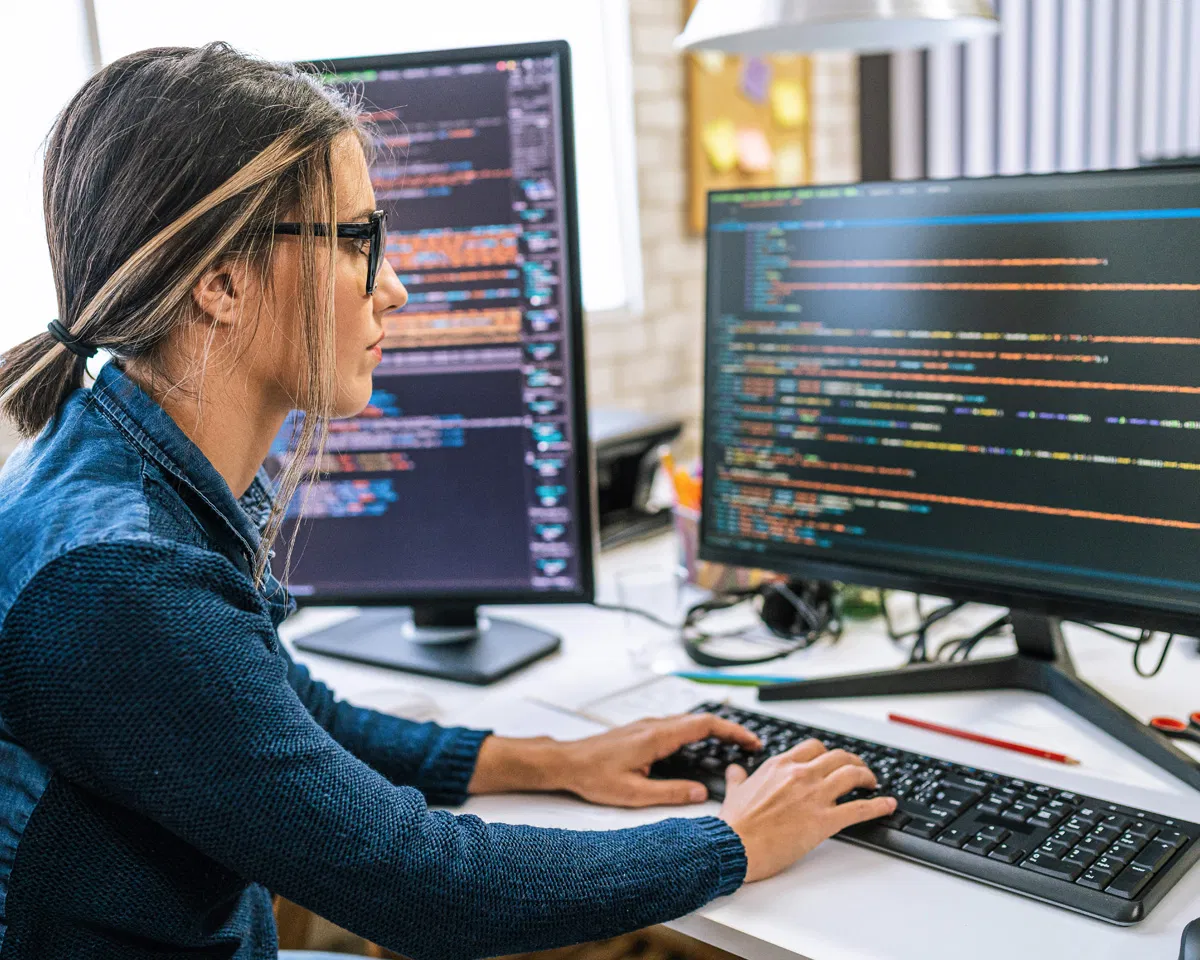 IT Professionals